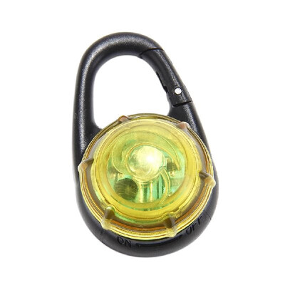 Pet Collar Keychain Light Glow Pendant Dog Safety Flashing Blinker LED Water-resistant Night Lights
Pet Collar Keychain Light Glow Pendant Dog Safety Flashing Blinker LED Water-resistant Night Lights