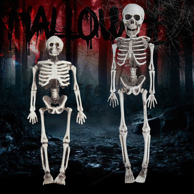 Willstar 1540CM Halloween Simulation of Human Skeleton Model Plastic Compartment Props Skull Bone Haunted
Willstar 1540CM Halloween Simulation of Human Skeleton Model Plastic Compartment Props Skull Bone Haunted