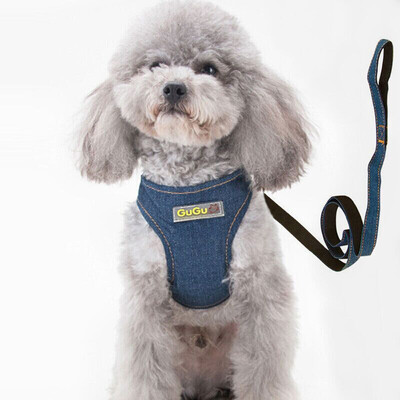 Dipper dog chain dog rope small medium dog dog vest chest strap traction rope pet dog leash dog hyena rope Teddy dog hyena chain chest strap traction
Dipper dog chain dog rope small medium dog dog vest chest strap traction rope pet dog leash dog hyena rope Teddy dog hyena chain chest strap traction