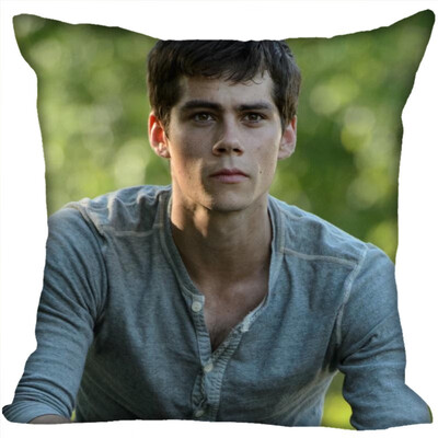 Dylan Pillow Cover Bedroom Home Office Decorative Pillowcase Square Zipper Pillow Cases Satin Fabric No Fade
Dylan Pillow Cover Bedroom Home Office Decorative Pillowcase Square Zipper Pillow Cases Satin Fabric No Fade