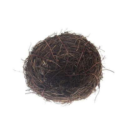 Garden Decoration DIY Foam Birds Eggs Mini Cute Birds Nest Easter Decor for Home Decor Simulation Craft
Garden Decoration DIY Foam Birds Eggs Mini Cute Birds Nest Easter Decor for Home Decor Simulation Craft
