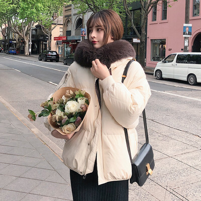 2018 new Korean version of loose BF cotton-padded jacket students coat with hat&big fur collar for women winter
2018 new Korean version of loose BF cotton-padded jacket students coat with hat&big fur collar for women winter