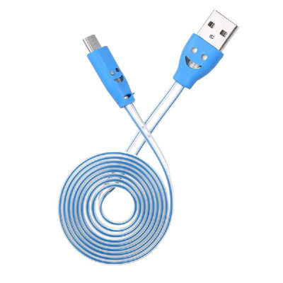 Micro USB Charging Cable LED Lighting Noodle Cables Mobile Phone Data Cable Charger 1M
Micro USB Charging Cable LED Lighting Noodle Cables Mobile Phone Data Cable Charger 1M