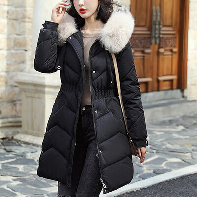 Roseonmyhand Fashion Women Winter Warm Cotton Hooded Winter Jacket Long-Sleeved Coat
Roseonmyhand Fashion Women Winter Warm Cotton Hooded Winter Jacket Long-Sleeved Coat