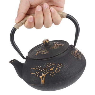 Greensen Cast Iron Teapot Corrosion-Resistant Iron Pot Tea Kettle 09L Cast Iron Teapot Tea Kettle
Greensen Cast Iron Teapot Corrosion-Resistant Iron Pot Tea Kettle 09L Cast Iron Teapot Tea Kettle