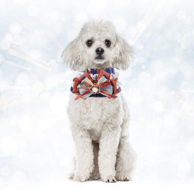 Greensen Adorable Adjustable Cotton Stylish Lace Bow Tie Pearl Dog Cat Puppy Neckerchief Bandana Scarfs 
Greensen Adorable Adjustable Cotton Stylish Lace Bow Tie Pearl Dog Cat Puppy Neckerchief Bandana Scarfs