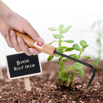 Sturdy Manganese Steel Bonsai Root Hook with Comfortable Wooden Handle Gardening Tools Gardening Tool Bonsai Hook
Sturdy Manganese Steel Bonsai Root Hook with Comfortable Wooden Handle Gardening Tools Gardening Tool Bonsai Hook
