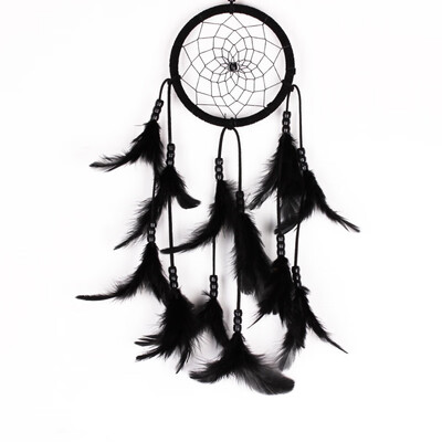 Stylish Dream Catcher Feather Car Decor Dreamcatcher Home Wall Hanging Decor Home Decor
Stylish Dream Catcher Feather Car Decor Dreamcatcher Home Wall Hanging Decor Home Decor