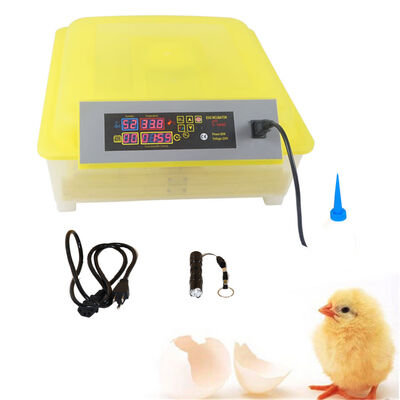 Ktaxon 485696112 Digital Egg Incubator Hatcher Temperature Control Automatic Turning
Ktaxon 485696112 Digital Egg Incubator Hatcher Temperature Control Automatic Turning