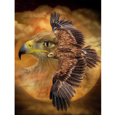 Diamond Embroidery Animals Picture Beading Diamond Painting Full Square New Arrival 5d Diamond Mosaic Eagle Beadwork
Diamond Embroidery Animals Picture Beading Diamond Painting Full Square New Arrival 5d Diamond Mosaic Eagle Beadwork