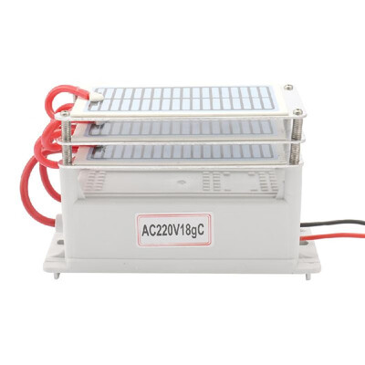 Portable Ceramic Ozone Generator 220V 18g Long Life Three Ozone Tablets Integrated Plate Air Water Purifier Ozon
Portable Ceramic Ozone Generator 220V 18g Long Life Three Ozone Tablets Integrated Plate Air Water Purifier Ozon