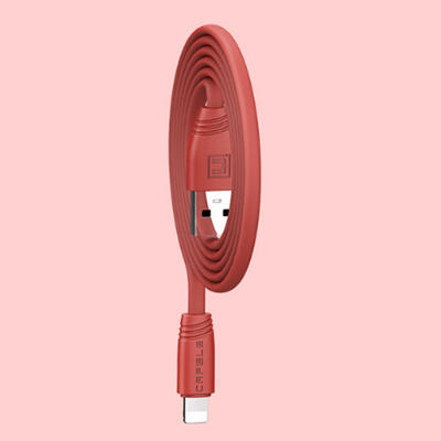 Mobile Phone Lightning Cable 120cm Apple Fast Charging USB Cables For IPhone-12m
Mobile Phone Lightning Cable 120cm Apple Fast Charging USB Cables For IPhone-12m