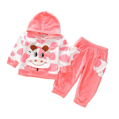 2pcs Spring Baby Sets Cartoon Girls Boys Hoodie Tops Pants Baby Sweatshirt Coat Suits Baby Clothing Sets
2pcs Spring Baby Sets Cartoon Girls Boys Hoodie Tops Pants Baby Sweatshirt Coat Suits Baby Clothing Sets