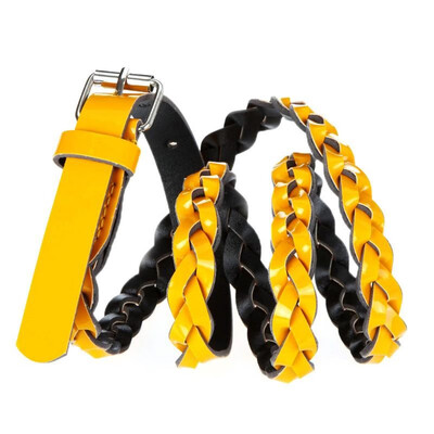 Fashion Women Lady Braided Belt Candy Color Skinny Thin Weave Plaid Buckle Cross Belt PU Leather Orange
Fashion Women Lady Braided Belt Candy Color Skinny Thin Weave Plaid Buckle Cross Belt PU Leather Orange