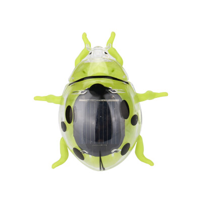 Tailored Solar Powered Shaking Random Ladybug Toy For Kids Solar Energy Educational Toy
Tailored Solar Powered Shaking Random Ladybug Toy For Kids Solar Energy Educational Toy