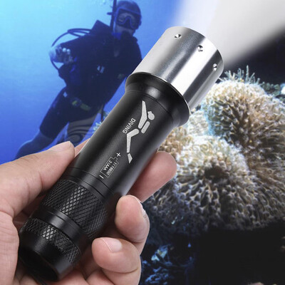 Saidsome Diving Light 8000 LM XML T6 LED Underwater 50M Waterproof 18650AAA Battery flashlight lamp
Saidsome Diving Light 8000 LM XML T6 LED Underwater 50M Waterproof 18650AAA Battery flashlight lamp