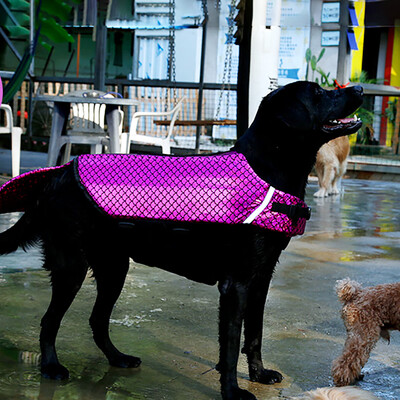 DogLemi Pet Dog Reflecting Life Jacket Mermaid Dog Life Jacket Pet Swimming Vest for Dog Water Safety
DogLemi Pet Dog Reflecting Life Jacket Mermaid Dog Life Jacket Pet Swimming Vest for Dog Water Safety