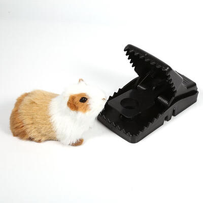 6Pcs Black Strong Mouse Trap Rat Hunting Mice Catcher Mousetrap Catching Reusable New Mice Trap Rat Catcher
6Pcs Black Strong Mouse Trap Rat Hunting Mice Catcher Mousetrap Catching Reusable New Mice Trap Rat Catcher