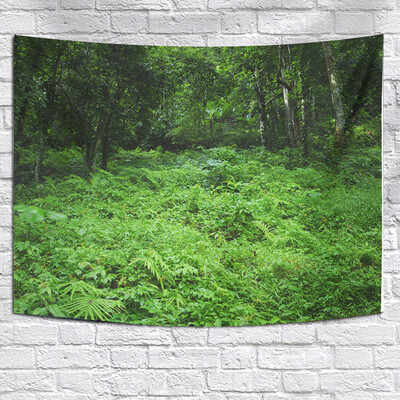 Toponeto Misty Forest Tapestry Wall Hanging Nature Landscape Tapestry Sunshine Through Tree Tapestries For Bedroom Living Room
Toponeto Misty Forest Tapestry Wall Hanging Nature Landscape Tapestry Sunshine Through Tree Tapestries For Bedroom Living Room