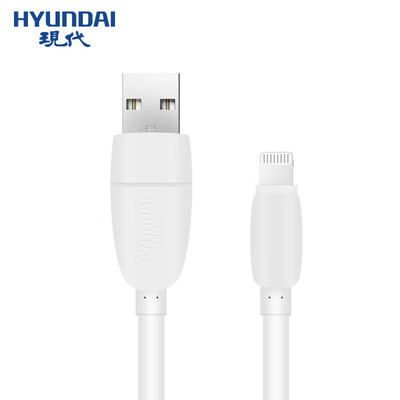 Hyundai HYUNDAI data line Apple Xs MaxXRX87 mobile phone fast charge charger line USB power cord for iphone56s7Plus
Hyundai HYUNDAI data line Apple Xs MaxXRX87 mobile phone fast charge charger line USB power cord for iphone56s7Plus