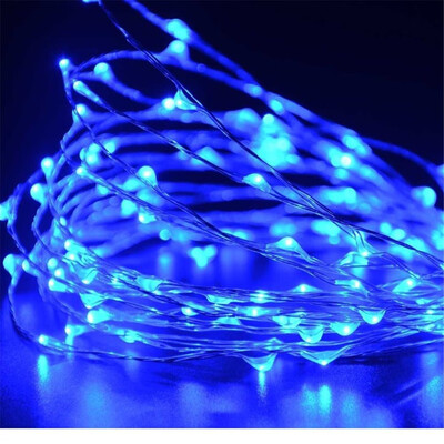 〖Follure〗2 Pcs Led String Lights Decorative Bedroom Garden Yard Parties Wedding Blue
〖Follure〗2 Pcs Led String Lights Decorative Bedroom Garden Yard Parties Wedding Blue