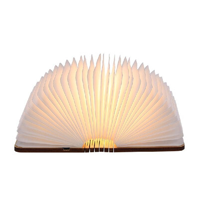 Tomshine Rechargeable USB Port LED Mini Folding Book Light Shape Changable Portable Table Floor Ceiling Bedside Lamp Practical an
Tomshine Rechargeable USB Port LED Mini Folding Book Light Shape Changable Portable Table Floor Ceiling Bedside Lamp Practical an