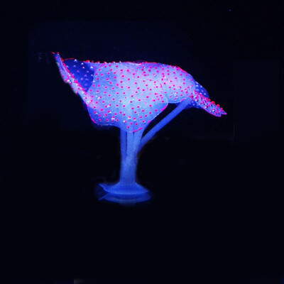 Glowing Artificial Jellyfishes Fish Tank Silicone Simulated Aquatic Plants Fluorescent Vivid Jellyfish Aquarium Decoration
Glowing Artificial Jellyfishes Fish Tank Silicone Simulated Aquatic Plants Fluorescent Vivid Jellyfish Aquarium Decoration
