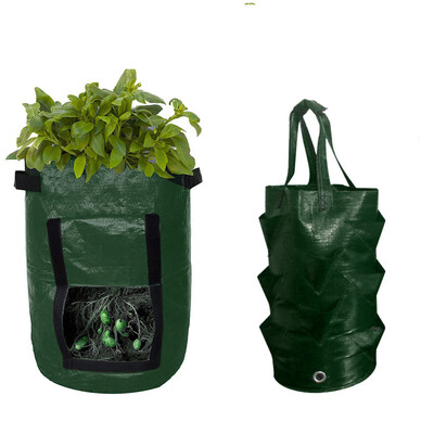 Gobestart Potato Strawberry Grow Planter Planting Container Bag Multi-mouth Container Bag
Gobestart Potato Strawberry Grow Planter Planting Container Bag Multi-mouth Container Bag