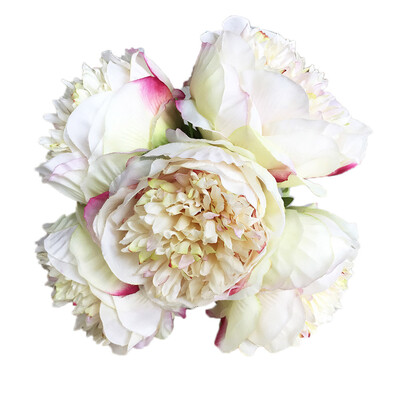 Siaonvr 1Bouquet 5 Heads Artificial Peony Silk Flower Leaf Home Wedding Party Decor
Siaonvr 1Bouquet 5 Heads Artificial Peony Silk Flower Leaf Home Wedding Party Decor
