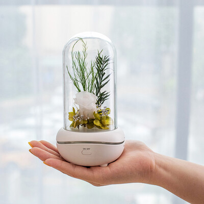 〖Follure〗Eternal Flower USB Essential Oil Aromatherapy Machine Mini HomeCar Aromatherapy
〖Follure〗Eternal Flower USB Essential Oil Aromatherapy Machine Mini HomeCar Aromatherapy