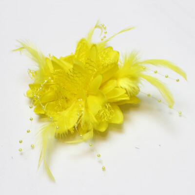 New Hot Flower Feather Bead Corsage Hair Clips Fascinator Bridal Hairband Brooch Pin
New Hot Flower Feather Bead Corsage Hair Clips Fascinator Bridal Hairband Brooch Pin