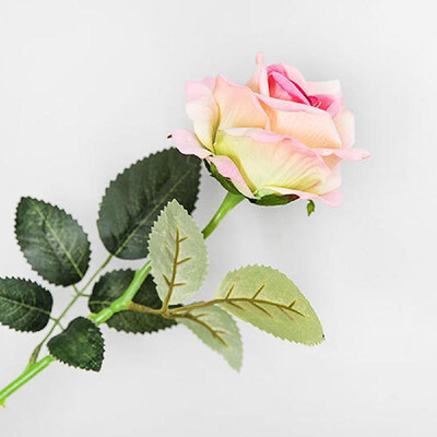 Wholesale simulation silk flower single lover rose wedding arrangement road lead flower living room decoration fake flower home de
Wholesale simulation silk flower single lover rose wedding arrangement road lead flower living room decoration fake flower home de