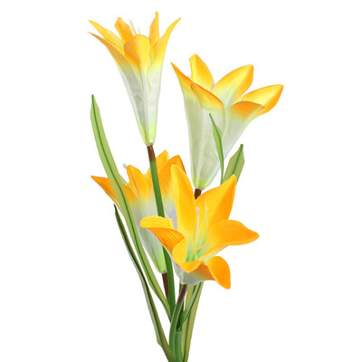 〖Follure〗Solar Power Flower Light LED Outdoor Garden Yard Path Lawn Landscape ColoredLamp
〖Follure〗Solar Power Flower Light LED Outdoor Garden Yard Path Lawn Landscape ColoredLamp