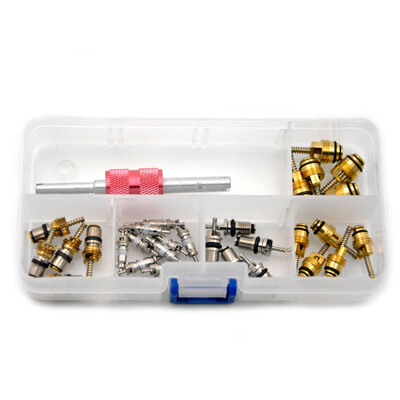 R134a R12 30Pcs Valve Core&1pcs Valve Core Key Dual Remover Installer Tool Set for Regal Beverly Volkswagen Toyota VW Elantra
R134a R12 30Pcs Valve Core&1pcs Valve Core Key Dual Remover Installer Tool Set for Regal Beverly Volkswagen Toyota VW Elantra
