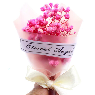 Small fresh starry handmade dried flowers gifts shooting props Christmas holiday gift bouquet with hands ceremony
Small fresh starry handmade dried flowers gifts shooting props Christmas holiday gift bouquet with hands ceremony