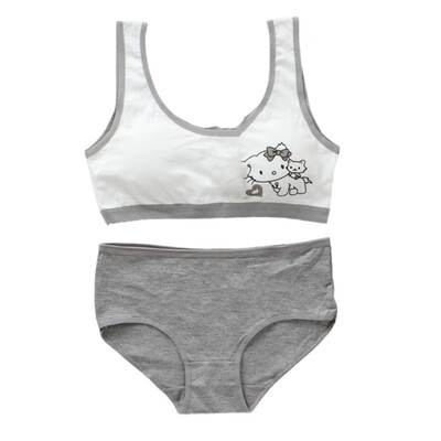 Girls Bra Cotton Underwear For Teenager Training Bra Set for Student Puberty Vest Brassiere Bras for Girls
Girls Bra Cotton Underwear For Teenager Training Bra Set for Student Puberty Vest Brassiere Bras for Girls