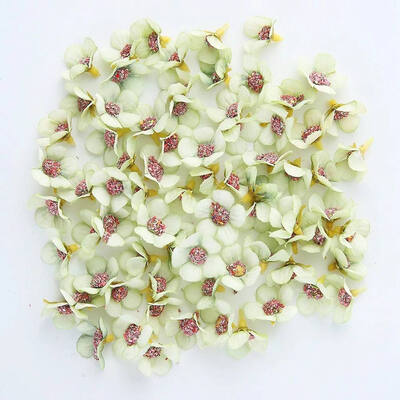 50pcs 2cm Multicolor Daisy Flower Head Mini Silk Artificial Flower for Crown Scrap Wedding Home Decor DIY Garland Headdress
50pcs 2cm Multicolor Daisy Flower Head Mini Silk Artificial Flower for Crown Scrap Wedding Home Decor DIY Garland Headdress