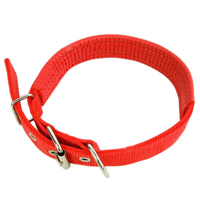 Soft Liner Nylon Padded Dog Pet Collars Neck Protection Safe Collar For Small Medium Large Dogs High Quality
Soft Liner Nylon Padded Dog Pet Collars Neck Protection Safe Collar For Small Medium Large Dogs High Quality