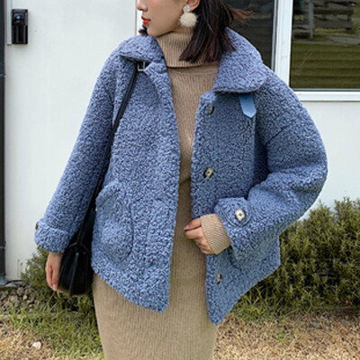 Toponeto Women Outwear Long Sleeve Lamb Hair Stand Collar Warm Coat Plush Jacket Overcoat
Toponeto Women Outwear Long Sleeve Lamb Hair Stand Collar Warm Coat Plush Jacket Overcoat
