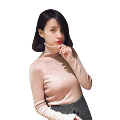 Turtleneck Autumn Winter Bottom Sweater Women Knitted Sweater Slim Solid Color Long-Sleeved Fashion Pullover Sweater
Turtleneck Autumn Winter Bottom Sweater Women Knitted Sweater Slim Solid Color Long-Sleeved Fashion Pullover Sweater