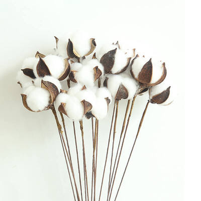 10pcs Natural Cotton Branches Dried Flowers Home Decoration Wedding Bouquets Natural Artificial Flowers
10pcs Natural Cotton Branches Dried Flowers Home Decoration Wedding Bouquets Natural Artificial Flowers