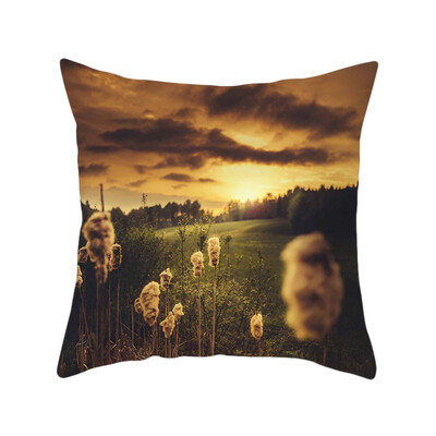 Modern Mountain Sea Scenic Polyester Peachskin Pillowcase Throw Pillow Cushions Cover for Home Hotel Bed
Modern Mountain Sea Scenic Polyester Peachskin Pillowcase Throw Pillow Cushions Cover for Home Hotel Bed