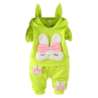 Autumn Baby Long Sleeve Clothes Set Baby Girl Cute Rabbit Pattern Long Sleeve Suit Children Casual Clothing
Autumn Baby Long Sleeve Clothes Set Baby Girl Cute Rabbit Pattern Long Sleeve Suit Children Casual Clothing