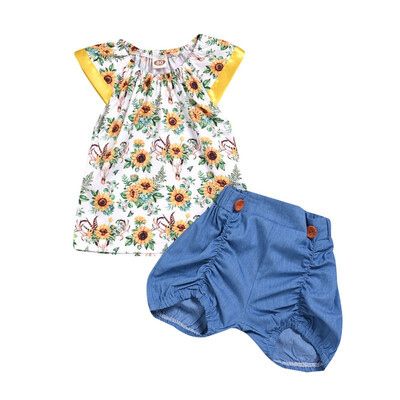 Summer Children Baby Girls Casual Floral Pattern Short Sleeve Tops VestShorts Suits Costume Set
Summer Children Baby Girls Casual Floral Pattern Short Sleeve Tops VestShorts Suits Costume Set