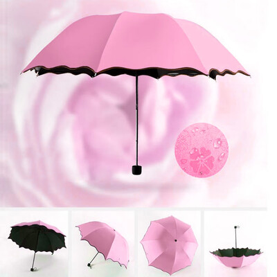 Siaonvr Travel Parasol Folding Rain Windproof Umbrella Folding Anti-UV SunRain Umbrella
Siaonvr Travel Parasol Folding Rain Windproof Umbrella Folding Anti-UV SunRain Umbrella
