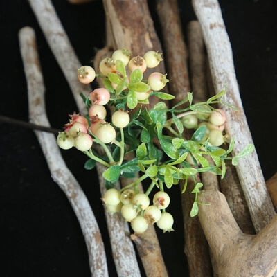Decorative Artificial Berry Holly Branch For DIY Festival Ornaments Christmas Tree Decorations Flower Arrangements Decor
Decorative Artificial Berry Holly Branch For DIY Festival Ornaments Christmas Tree Decorations Flower Arrangements Decor