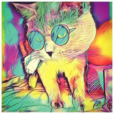 Full Round Diamond mosaic color Full Diamond painting Cross stitch tiger&lion 5D DIY Diamond embroidery dog cat For home decor
Full Round Diamond mosaic color Full Diamond painting Cross stitch tiger&lion 5D DIY Diamond embroidery dog cat For home decor