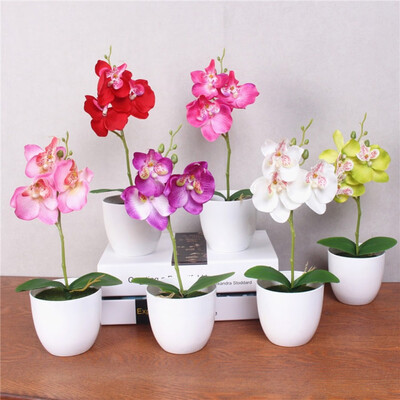 1PCS Mini Phalaenopsis Potted Artificial Flower For Home Decoration Party Supplies
1PCS Mini Phalaenopsis Potted Artificial Flower For Home Decoration Party Supplies