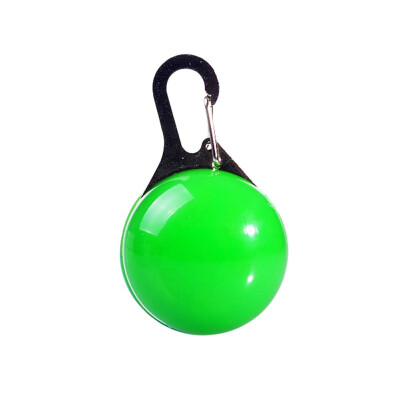 Dog LED Glowing Pendant Necklace Safety Puppy Cat Night Light Flashing Collar Pet Puppy Outdoor Anti-lost Supplies
Dog LED Glowing Pendant Necklace Safety Puppy Cat Night Light Flashing Collar Pet Puppy Outdoor Anti-lost Supplies