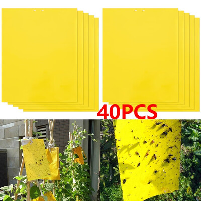 2040pcs Strong Flies Traps Bugs Sticky Board Catching Aphid Insects Pest Killer Outdoor Fly Trap For Aphids Fungus Gnats Leaf
2040pcs Strong Flies Traps Bugs Sticky Board Catching Aphid Insects Pest Killer Outdoor Fly Trap For Aphids Fungus Gnats Leaf